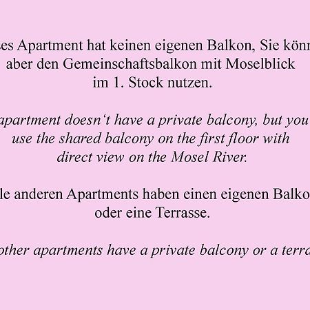 Apartmán Weingut Im Moselkrampen Ellenz-Poltersdorf Exteriér fotografie